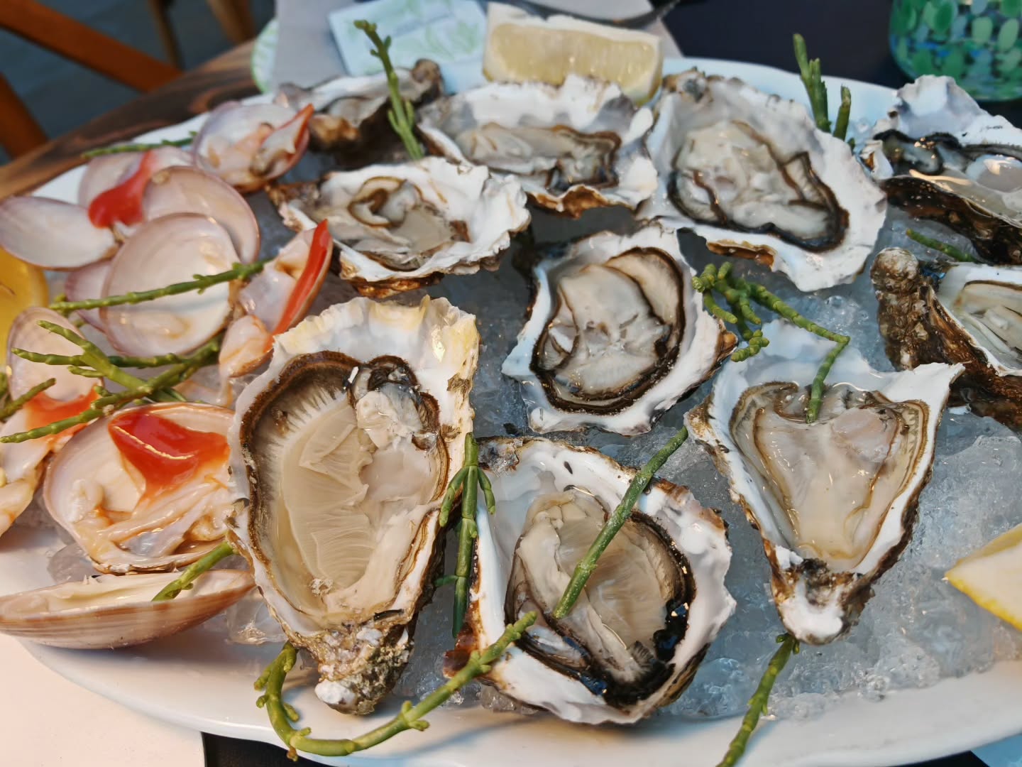 Fresh Oysters. Ostriche fresche. Entree. Venetian Traditional. Sea food. Sea crutidee
